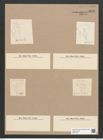 Diatomeae indet. Zeichnungen Sammlung Grunow Nr. 5872 (NHMW-BOT-W0374317)